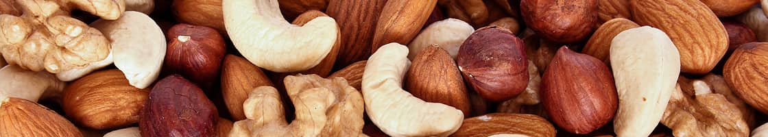 Nut Protein