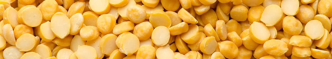 Yellow Pea Protein