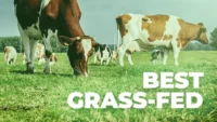 Best Grass Fed