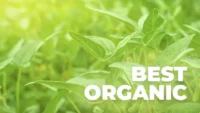Best Organic
