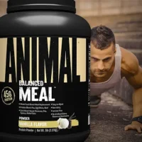 Animal Balanced Meal Review